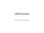 UNIX Sockets