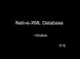 Native-XML Database PowerPoint PPT Presentation