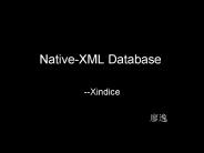 Native-XML Database