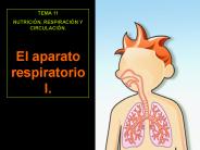 Diapositiva 1