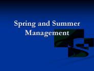Spring and Summer Management
