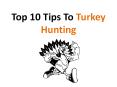 Tips To Turkey Hunting PowerPoint PPT Presentation