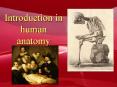 Introduction in human anatomy PowerPoint PPT Presentation