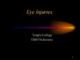 Eye Injuries PowerPoint PPT Presentation