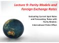 Lecture 9: Parity Models and Foreign Exchange Rates PowerPoint PPT Presentation