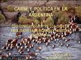 CARNE Y POLITICA EN ARGENTINA PowerPoint PPT Presentation
