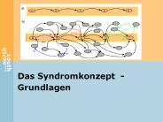 Das Syndromkonzept - Grundlagen