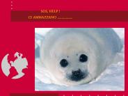 SOS, HELP ! CI AMMAZZANO ..................