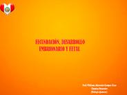 FECUNDACION, DESARROLLO EMBRIONARIO Y FETAL