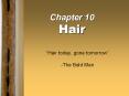 Chapter 10 Hair PowerPoint PPT Presentation