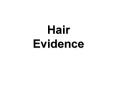 Hair Evidence PowerPoint PPT Presentation