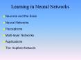 Learning in Neural Networks PowerPoint PPT Presentation