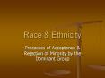 Race PowerPoint PPT Presentation
