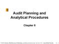 Audit Planning and Analytical Procedures PowerPoint PPT Presentation