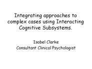 Integrating approaches to complex cases using Interacting Cognitive Subsystems.