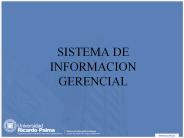 SISTEMA DE INFORMACION GERENCIAL