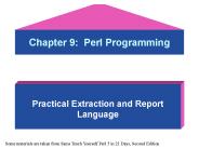 Chapter 9: Perl Programming