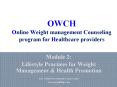 OWCH Online Weight management Counseling program for Healthcare providers PowerPoint PPT Presentation