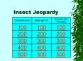 Insect Jeopardy PowerPoint PPT Presentation