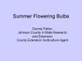 Summer Flowering Bulbs PowerPoint PPT Presentation