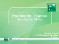 Providing Non-Financial Services to SMEs PowerPoint PPT Presentation