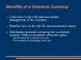 Benefits of a Common Currency PowerPoint PPT Presentation
