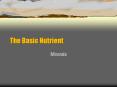 The Basic Nutrient PowerPoint PPT Presentation