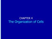 Life, 6th Edition