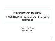 Introduction to Unix: most important/useful commands