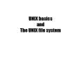 UNIX basics and The UNIX file system PowerPoint PPT Presentation