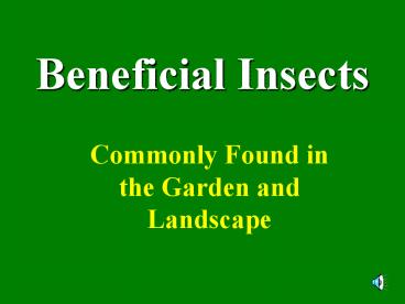 Beneficial Insects