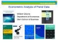 Econometric Analysis of Panel Data PowerPoint PPT Presentation