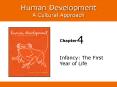 Infancy: The First Year of Life PowerPoint PPT Presentation