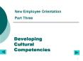 Developing Cultural Competencies PowerPoint PPT Presentation