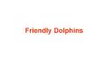 Friendly Dolphins PowerPoint PPT Presentation