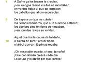 1A Dafne ya los brazos le crec