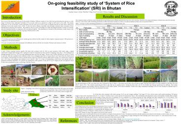 On-going feasibility study of 