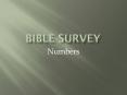 Bible Survey PowerPoint PPT Presentation