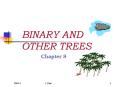 BINARY AND OTHER TREES PowerPoint PPT Presentation