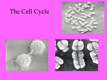 presentation player overlay