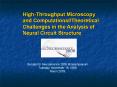 High-Throughput Microscopy and Computational/Theoretical Challenges in the Analysis of Neural Circuit Structure PowerPoint PPT Presentation
