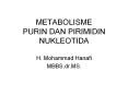METABOLISME PURIN DAN PIRIMIDIN NUKLEOTIDA PowerPoint PPT Presentation