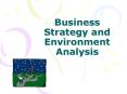 Business Strategy and Environment Analysis PowerPoint PPT Presentation