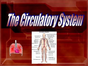 The Circulatory System