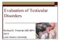 Evaluation of Testicular Disorders PowerPoint PPT Presentation