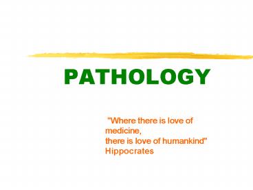 presentation player overlay