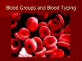 Blood Groups and Blood Typing PowerPoint PPT Presentation