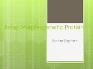 Bone Morphogenetic Protein
