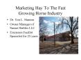 Marketing Hay To The Fast Growing Horse Industry PowerPoint PPT Presentation