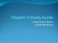 Chapter 5 Study Guide PowerPoint PPT Presentation